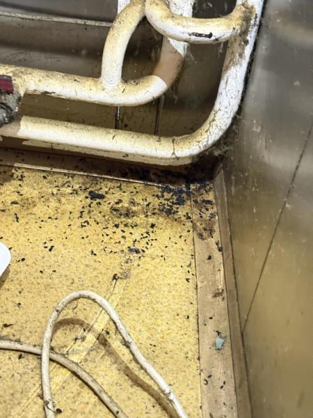 Ilustrační fotografie č. 4