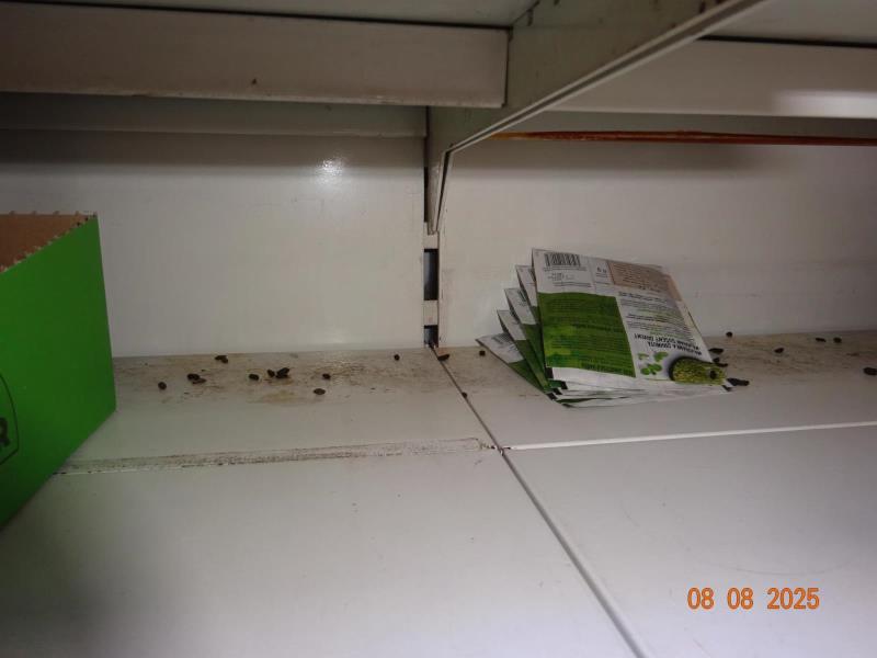 Ilustrační fotografie č. 12