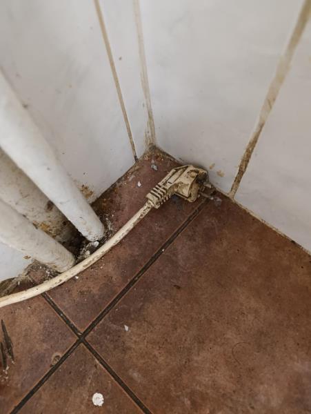 Illustrative photo no. 5