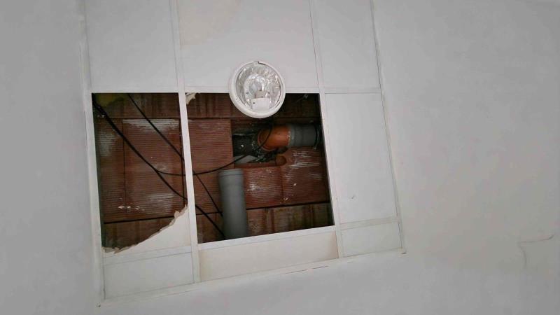 Ilustrační fotografie č. 11