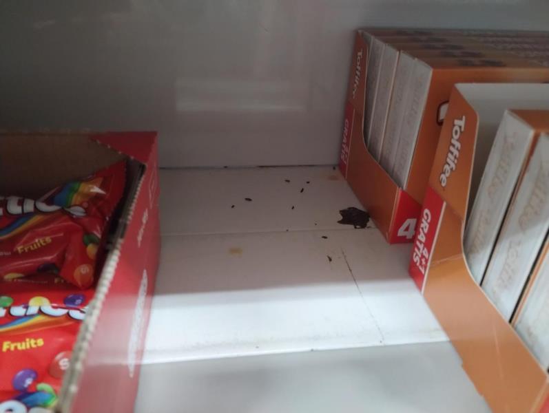 Ilustrační fotografie č. 11