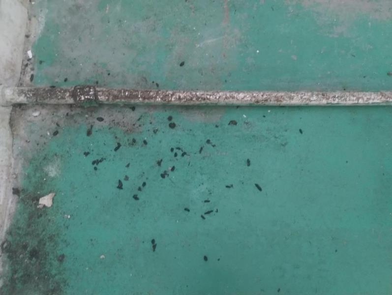 Ilustrační fotografie č. 3