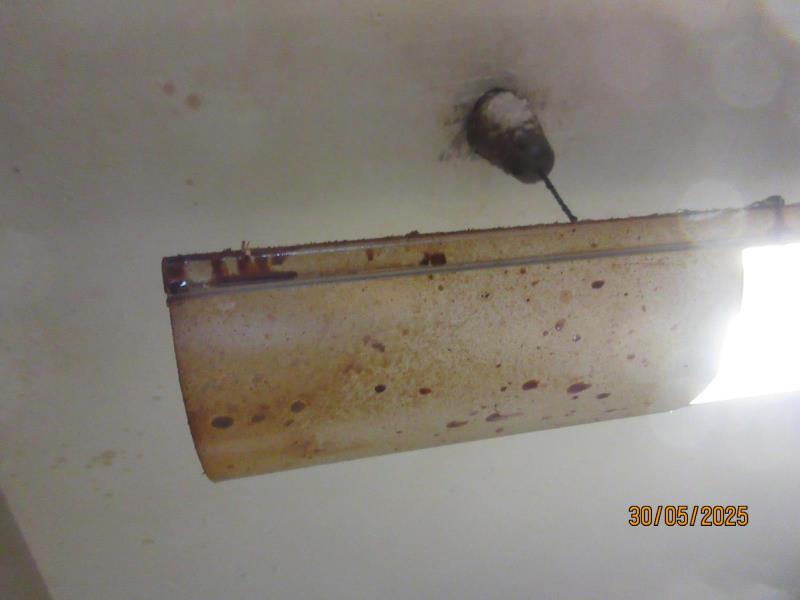 Illustrative photo no. 8
