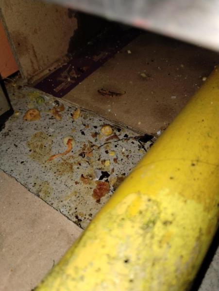 Ilustrační fotografie č. 24