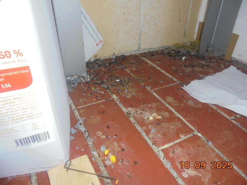 Ilustrační fotografie č. 2