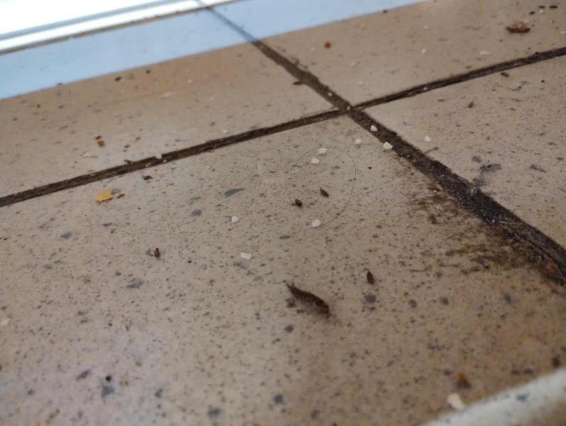 Ilustrační fotografie č. 11