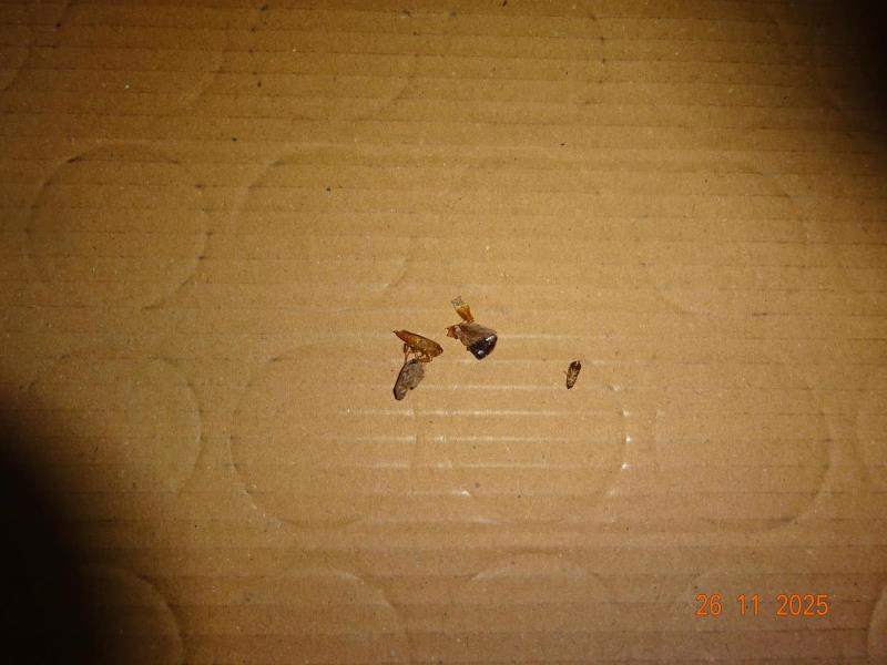 Ilustrační fotografie č. 14