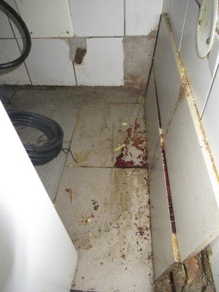 Ilustrační fotografie č. 4