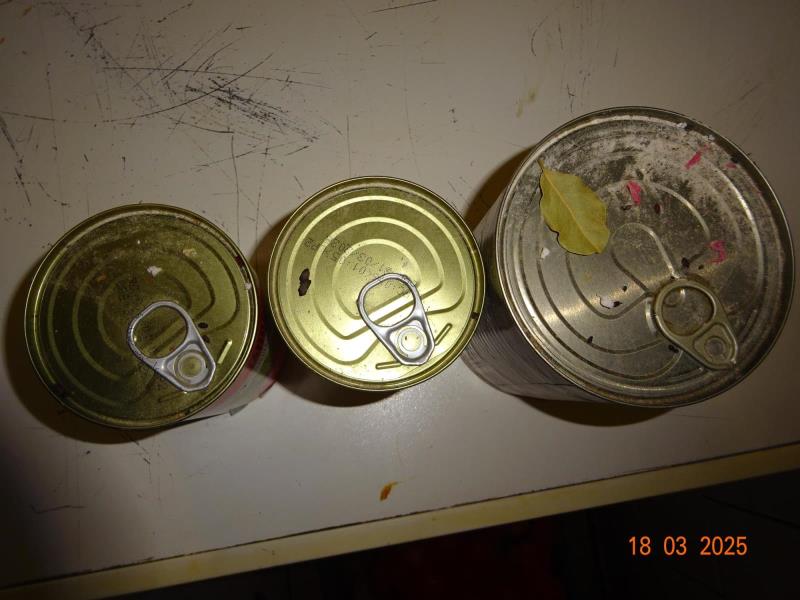 Ilustrační fotografie č. 4