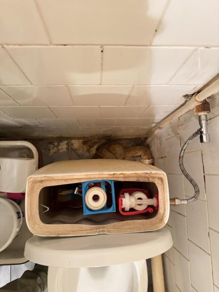 Ilustrační fotografie č. 3