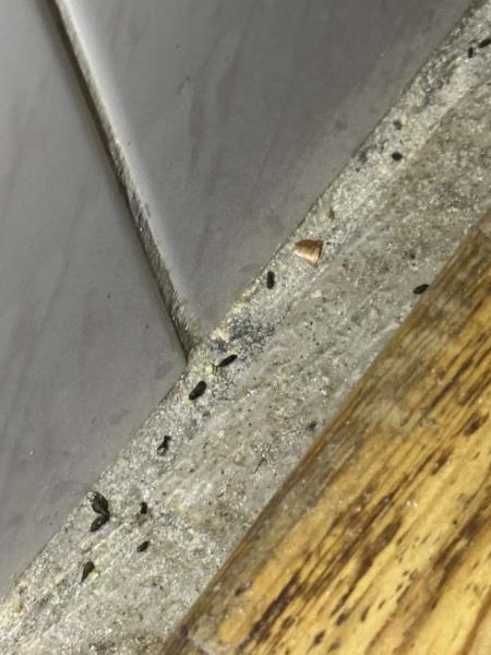 Ilustrační fotografie č. 8