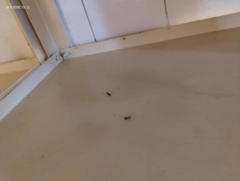 Ilustrační fotografie č. 6