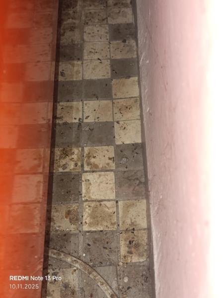 Illustrative photo no. 13