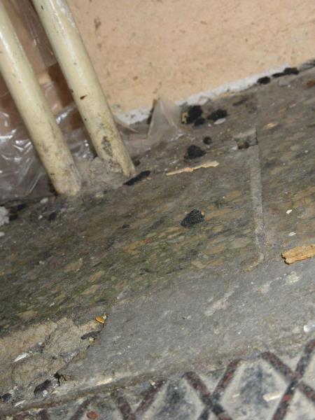 Illustrative photo no. 6