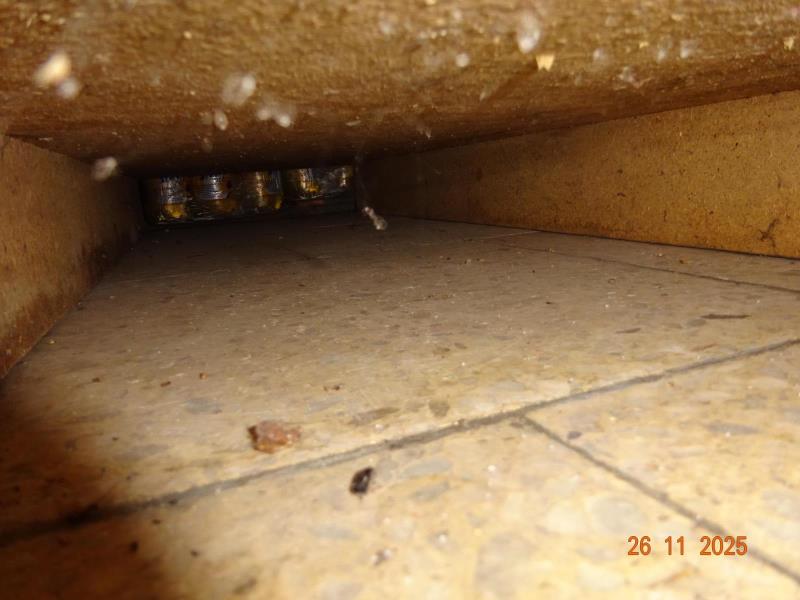 Ilustrační fotografie č. 3