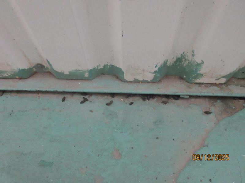 Ilustrační fotografie č. 11