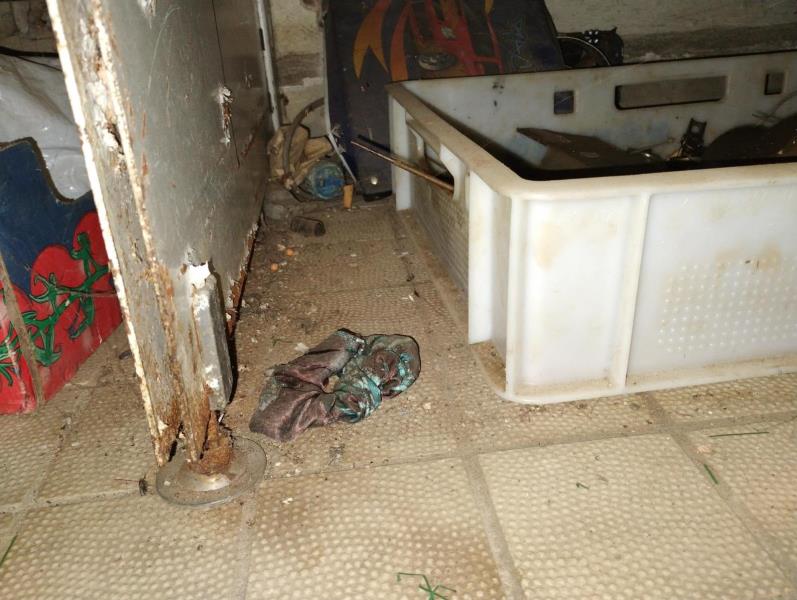 Ilustrační fotografie č. 7