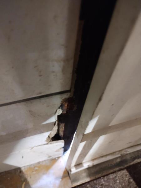 Ilustrační fotografie č. 3