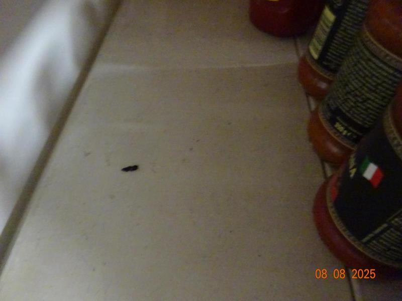 Ilustrační fotografie č. 13