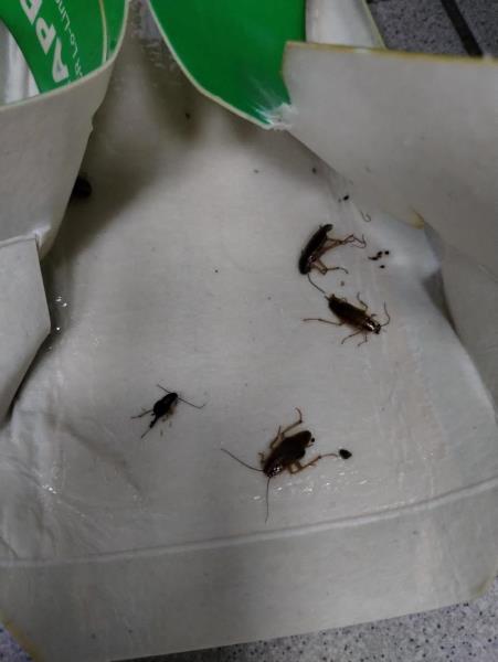 Ilustrační fotografie č. 3