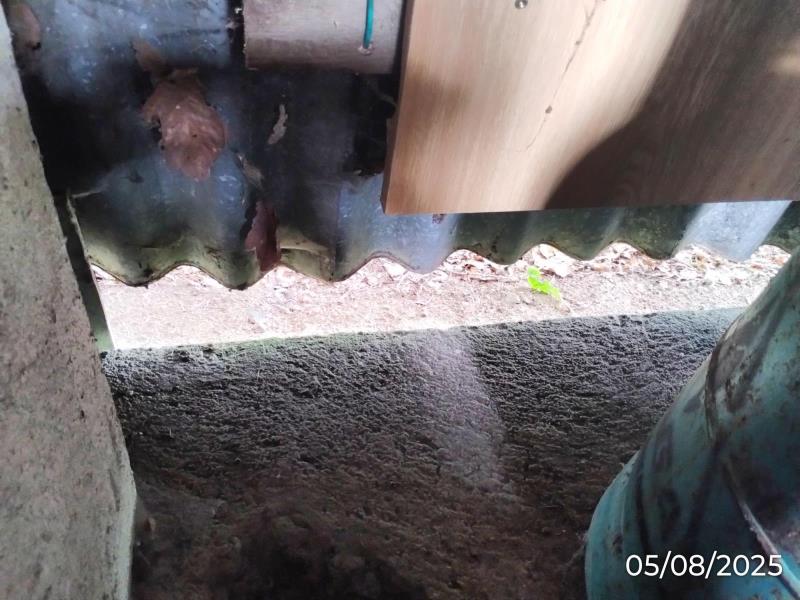 Ilustrační fotografie č. 21