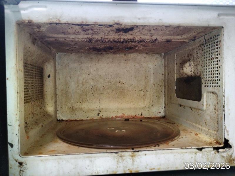 Ilustrační fotografie č. 4