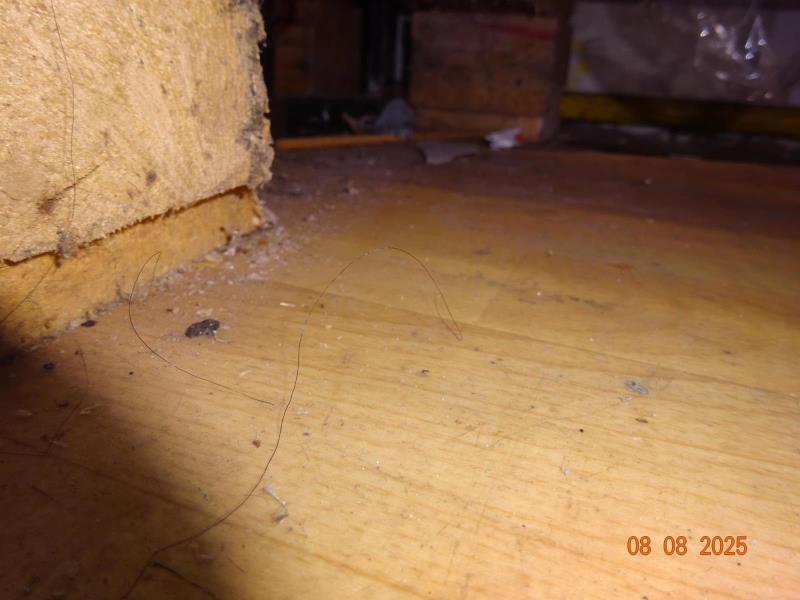 Ilustrační fotografie č. 10