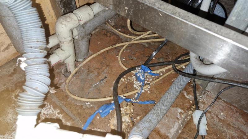 Ilustrační fotografie č. 6