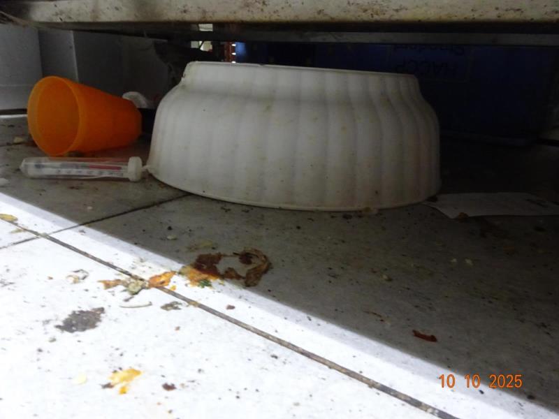 Ilustrační fotografie č. 5