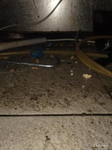 Ilustrační fotografie č. 22