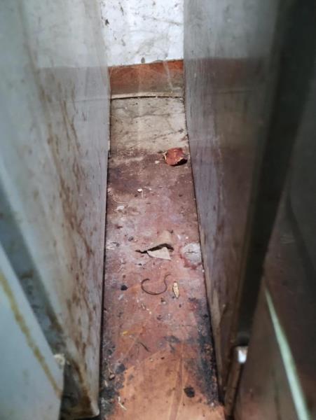 Illustrative photo no. 31