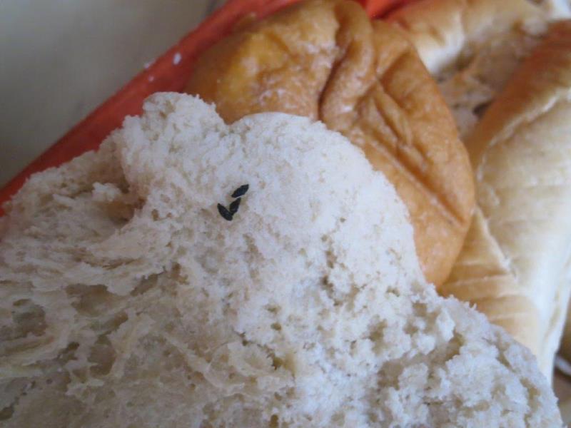 Illustrative photo no. 8