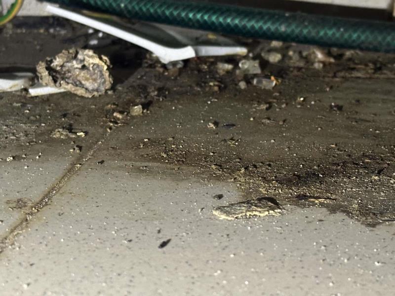 Ilustrační fotografie č. 14