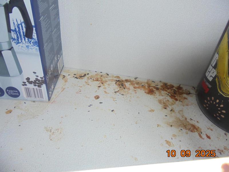 Ilustrační fotografie č. 11