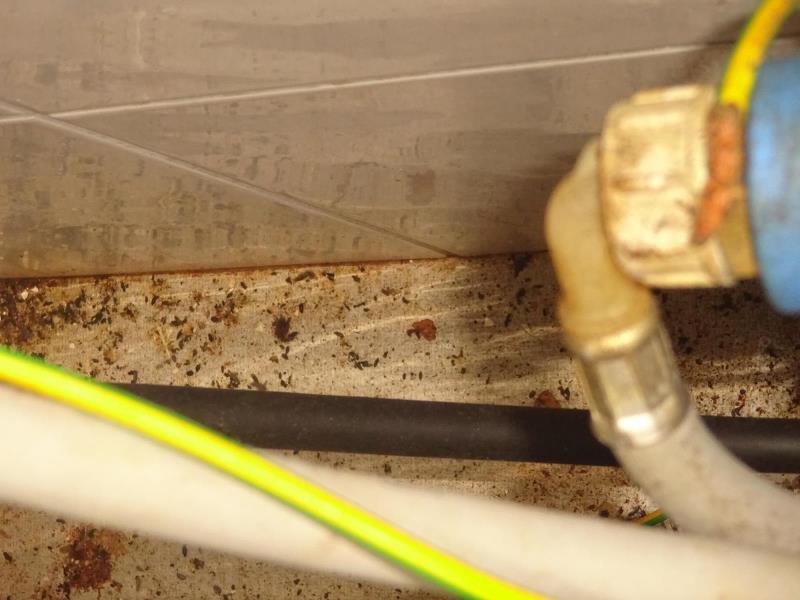 Ilustrační fotografie č. 4