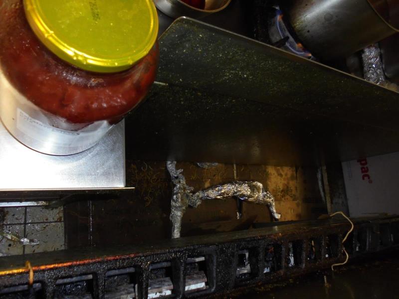 Ilustrační fotografie č. 4