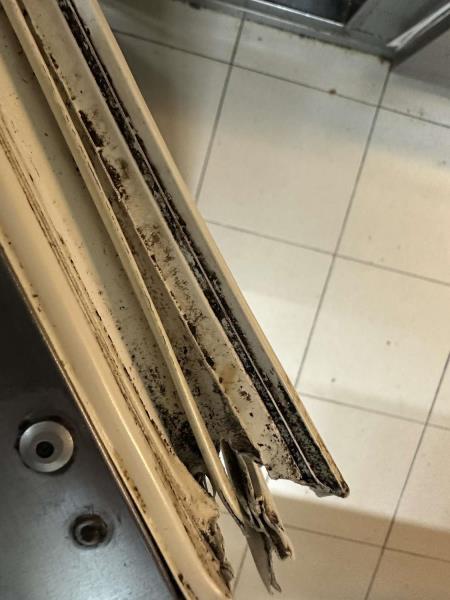 Ilustrační fotografie č. 17