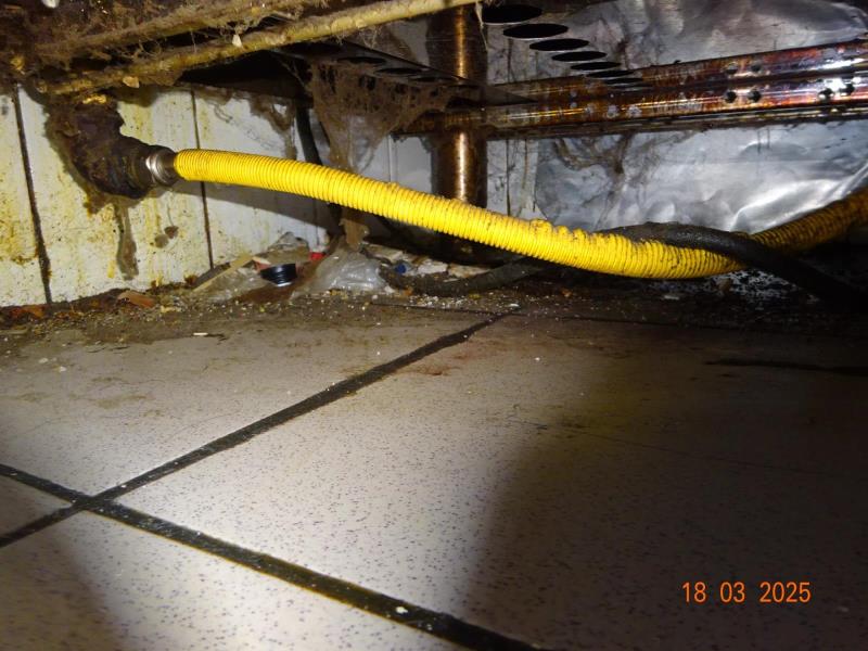 Ilustrační fotografie č. 7