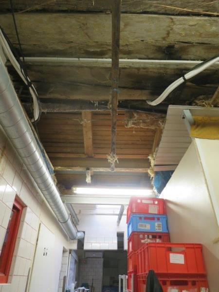 Ilustrační fotografie č. 7