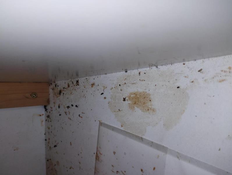 Illustrative photo no. 3