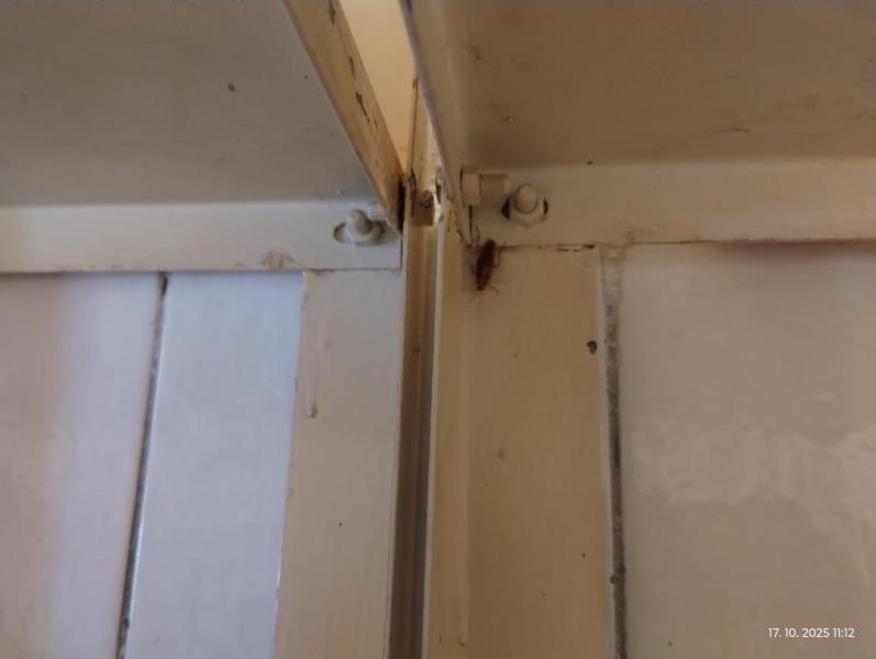 Ilustrační fotografie č. 15