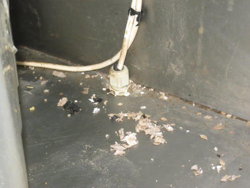 Ilustrační fotografie č. 12