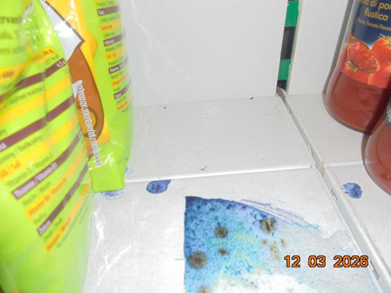 Illustrative photo no. 8