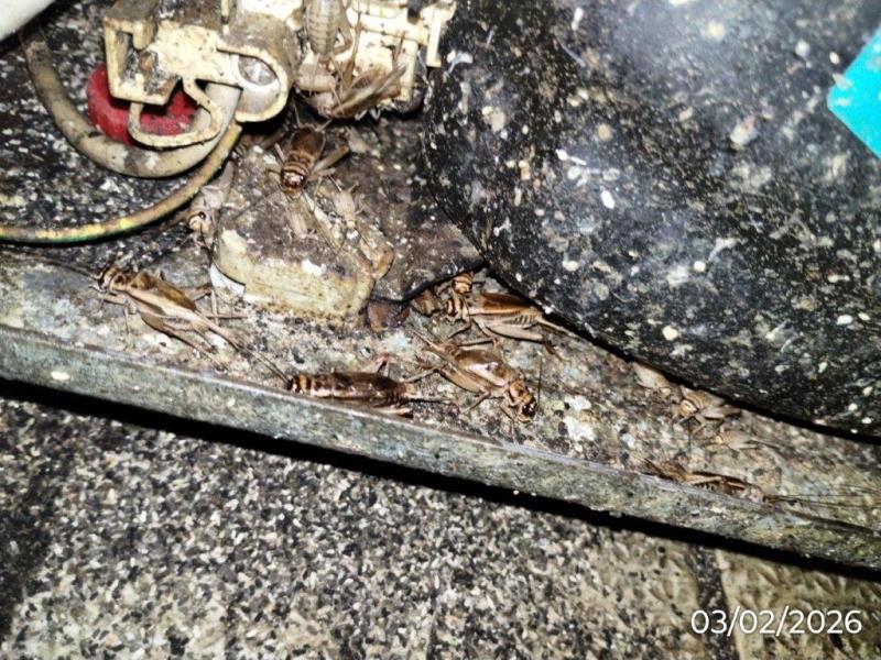 Ilustrační fotografie č. 24