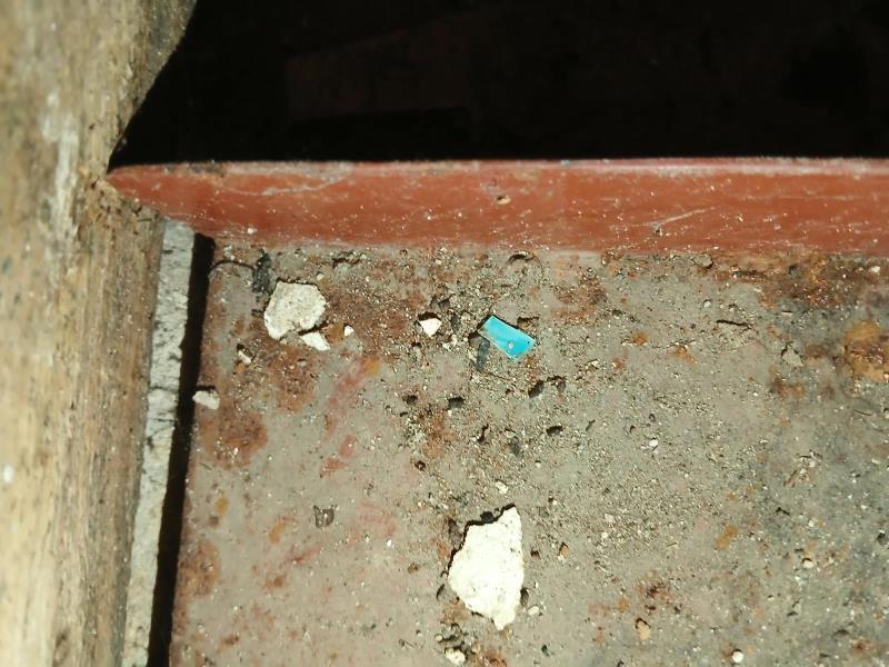 Illustrative photo no. 6