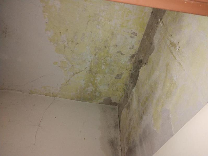 Illustrative photo no. 4