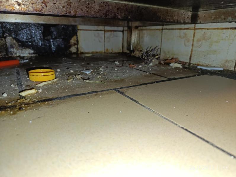 Ilustrační fotografie č. 8