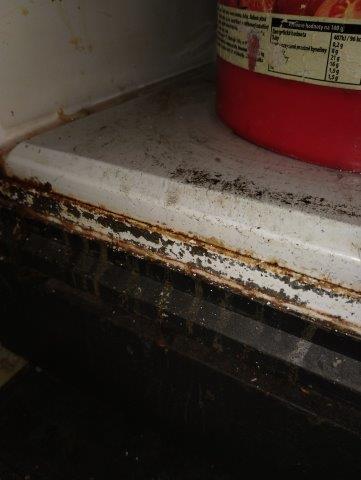 Ilustrační fotografie č. 15