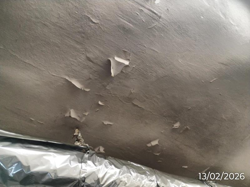 Ilustrační fotografie č. 5