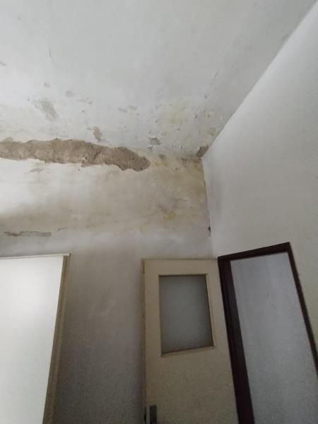 Illustrative photo no. 21